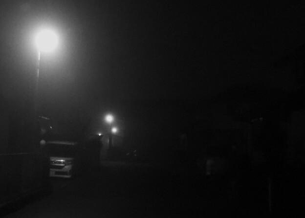 写真: 霧の住宅街 (1)