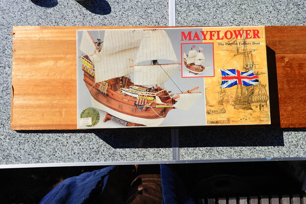 Mayflower (1)