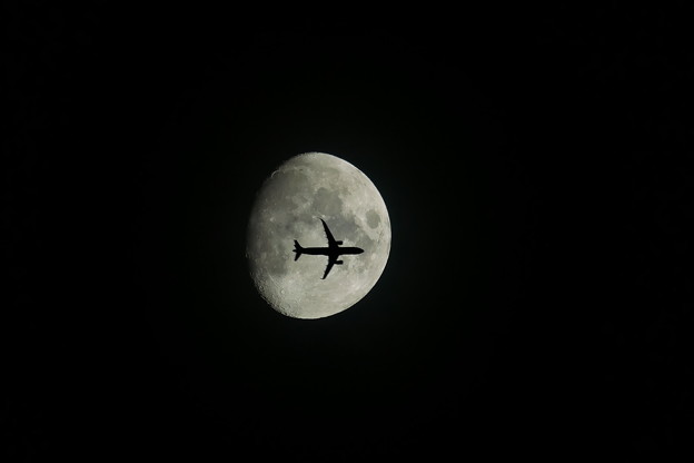 写真: 満月に飛行機