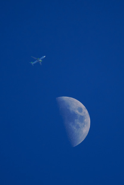 写真: 月と飛行機