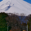 写真: ドクター東海と富士山
