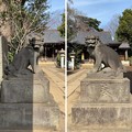 写真: 志村城（城山熊野神社。板橋区）狛犬