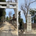 写真: 志村城（城山熊野神社。板橋区）石鳥居