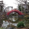 写真: 亀戸天神社（江東区亀戸）太鼓橋 男橋