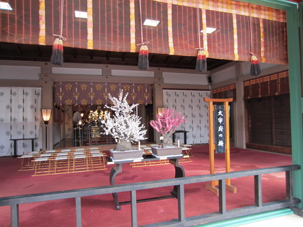 写真: 亀戸天神社（江東区亀戸）大宰府の梅