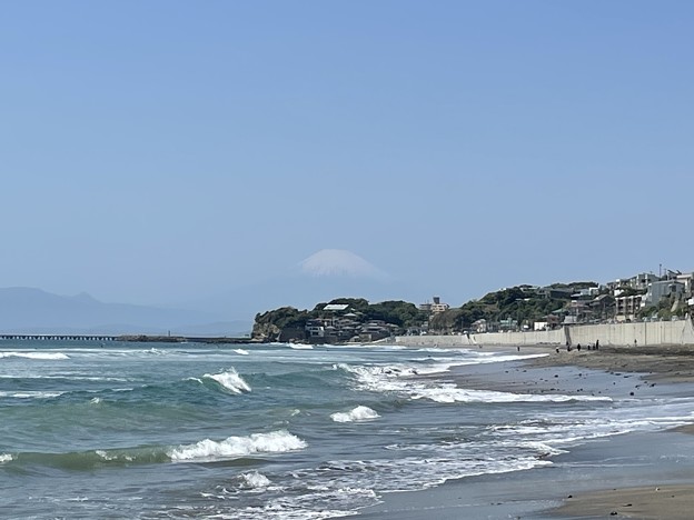 写真: 七里ヶ浜海岸（鎌倉市）
