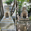 猿江神社（江東区）狛犬