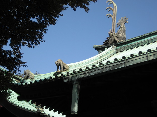 写真: 湯島聖堂（文京区）杏壇門