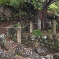 写真: 駒込富士神社（本駒込5丁目）