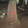 写真: 駒込富士神社（本駒込5丁目）