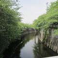 写真: 江戸川公園（文京区関口）