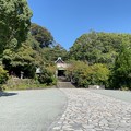 写真: 鎌倉宮（神奈川県）