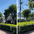 写真: 鎌倉街道道標（市立府中第3小前）道標より東西