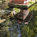 写真: 谷保天満宮（国立市）常盤の清水 ・弁天池