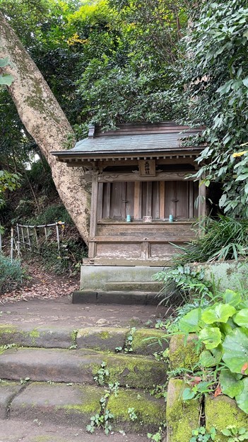 写真: 甘縄神明神社（鎌倉市）五所神社