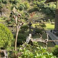 仏行寺（鎌倉市）庭園
