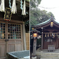 Photos: 14.01.24.寒川神社（神奈川県高座郡）神馬舎