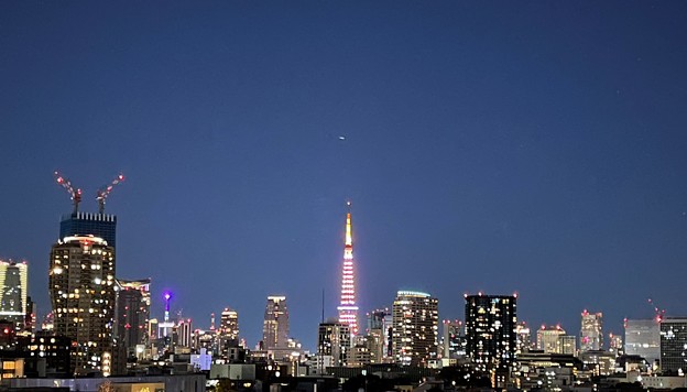 写真: 22.01.01.東京タワー（港区）