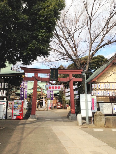写真: 須賀神社（須賀町）