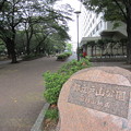 写真: 都立戸山公園（戸山）箱根地区 南東入口