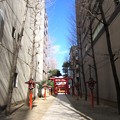 写真: 花園神社（新宿5丁目）南参道