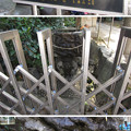 写真: 稲荷鬼王神社（歌舞伎町2丁目）水鉢