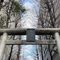 Photos: 花園神社（新宿5丁目）南鳥居