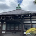 Photos: 善心寺（大塚5丁目）