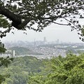 Photos: 六国見山（鎌倉市）富士塚 展望台より