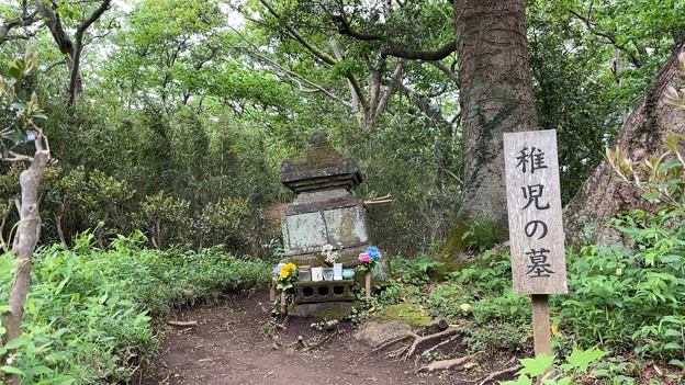 Photos: 六国見山（鎌倉市）稚児の墓