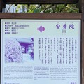Photos: 安養院（鎌倉市）