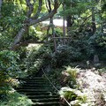 写真: 妙法寺（鎌倉市）石段〜階段