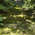 写真: 妙法寺（鎌倉市）苔石段