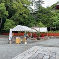 鶴岡八幡宮（鎌倉市）夏越大祓の茅の輪