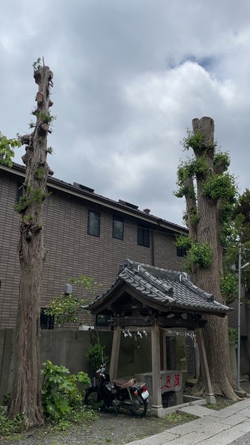 写真: 蛭子神社（鎌倉市）
