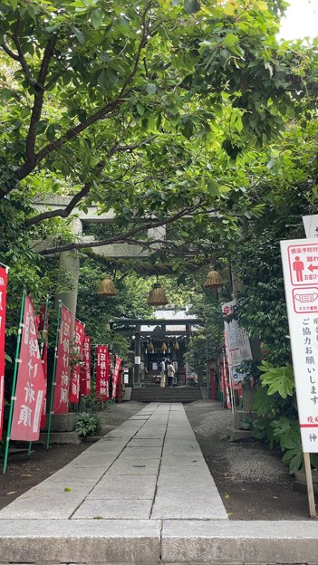 写真: 八雲神社（鎌倉市大町）