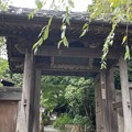 写真: 安国論寺（鎌倉市）山門