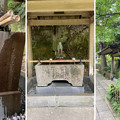 安国論寺（鎌倉市）手水舎・水盤