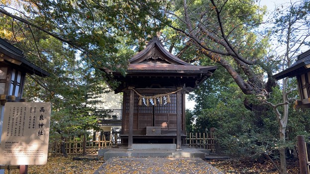 Photos: 世田谷八幡宮（世田谷区） (19)高良神社