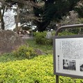 Photos: 旧渋沢庭園／飛鳥山公園（東京都北区） (3)
