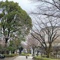 23.03.17.旧渋沢庭園／飛鳥山公園（東京都北区） (19)