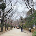 Photos: 23.03.17.旧渋沢庭園／飛鳥山公園（東京都北区） (25)