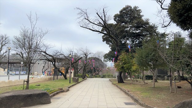 Photos: 23.03.17.旧渋沢庭園／飛鳥山公園（東京都北区） (26)