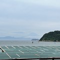 写真: 逗子海岸（神奈川県） (9)