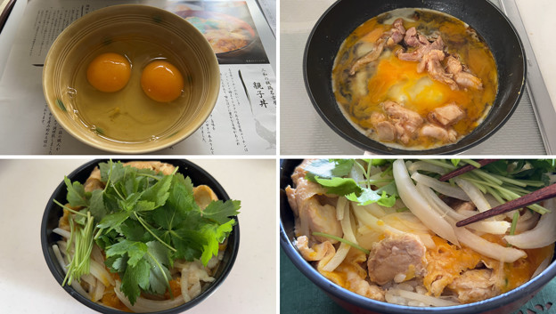 名古屋コーチンの卵――3-2鶏の三和 親子丼c (2)