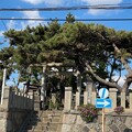写真: 長谷御嶽神社（鎌倉市） (2)