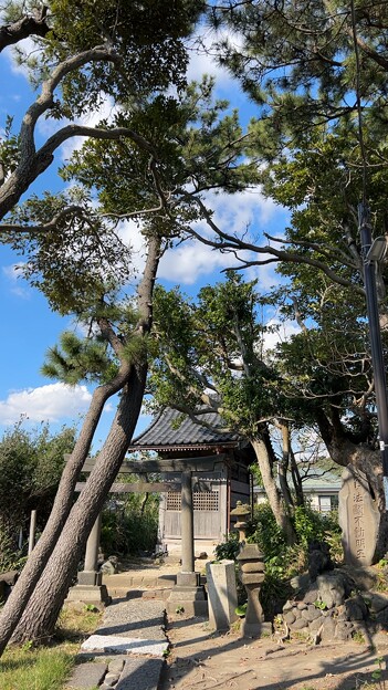 Photos: 長谷御嶽神社（鎌倉市） (10)大太刀稲荷神社