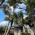 長谷御嶽神社（鎌倉市） (10)大太刀稲荷神社