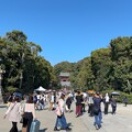 写真: 鶴岡八幡宮（鎌倉市）