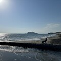 Photos: 七里ヶ浜海岸（鎌倉市） (5)